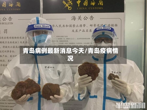 青岛病例最新消息今天/青岛疫病情况-第1张图片