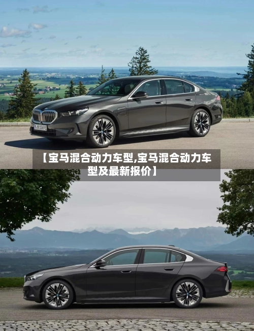 【宝马混合动力车型,宝马混合动力车型及最新报价】-第1张图片
