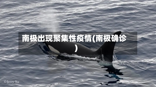 南极出现聚集性疫情(南极确诊)-第1张图片