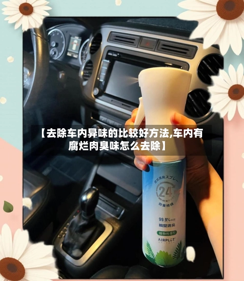【去除车内异味的比较好方法,车内有腐烂肉臭味怎么去除】-第1张图片