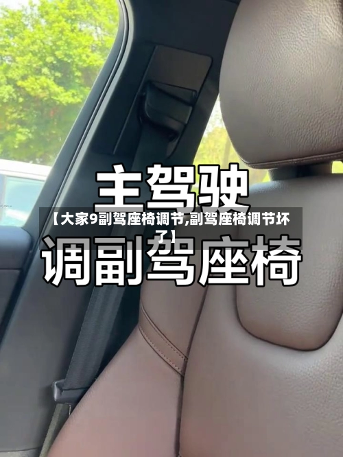 【大家9副驾座椅调节,副驾座椅调节坏了】-第1张图片