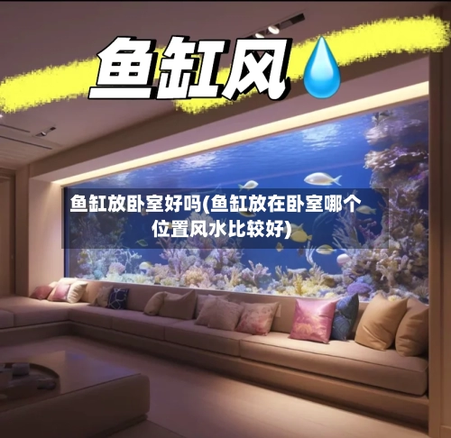 鱼缸放卧室好吗(鱼缸放在卧室哪个位置风水比较好)-第1张图片