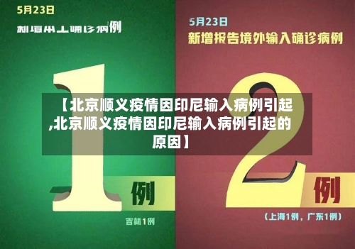 【北京顺义疫情因印尼输入病例引起,北京顺义疫情因印尼输入病例引起的原因】-第1张图片