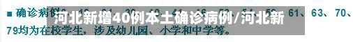 河北新增40例本土确诊病例/河北新增40例本土确诊病例详情-第3张图片