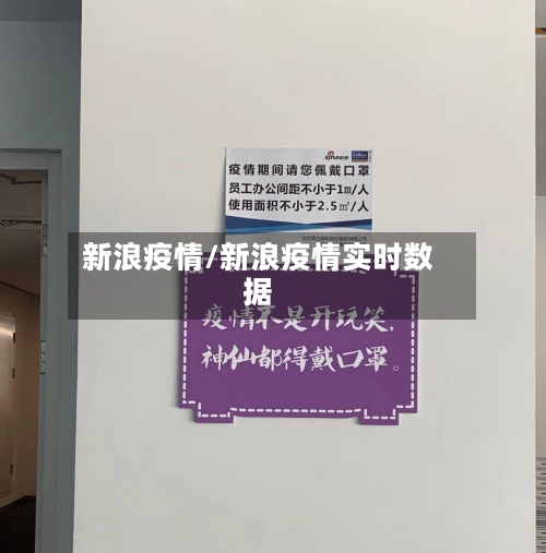 新浪疫情/新浪疫情实时数据-第3张图片