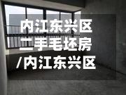 内江东兴区二手毛坯房/内江东兴区新房出售价-第1张图片