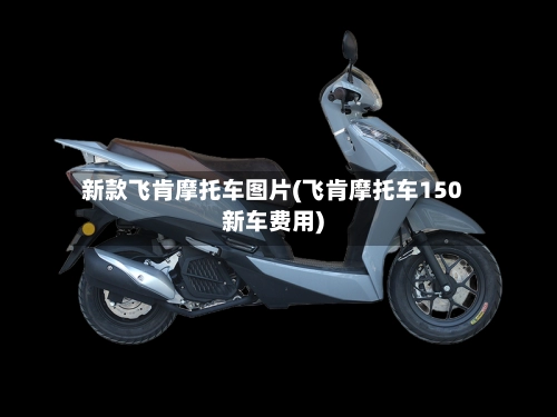 新款飞肯摩托车图片(飞肯摩托车150新车费用)-第1张图片
