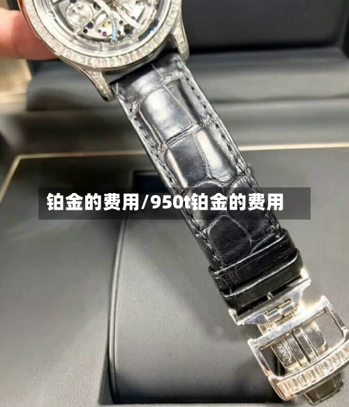 铂金的费用/950t铂金的费用-第1张图片