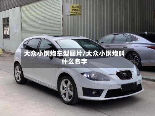 大众小钢炮车型图片/大众小钢炮叫什么名字-第1张图片