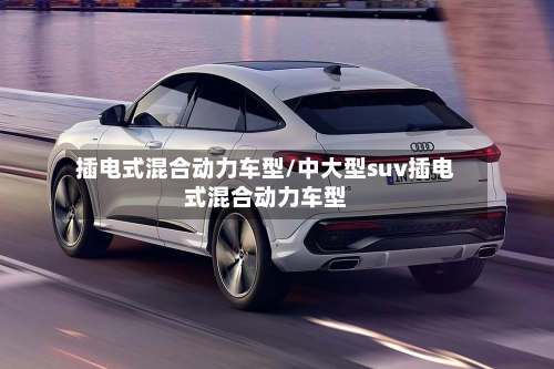 插电式混合动力车型/中大型suv插电式混合动力车型-第1张图片