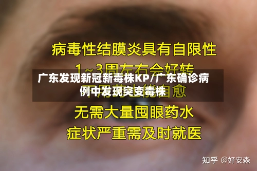 广东发现新冠新毒株KP/广东确诊病例中发现突变毒株-第3张图片
