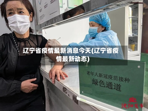辽宁省疫情最新消息今天(辽宁省疫情最新动态)-第1张图片
