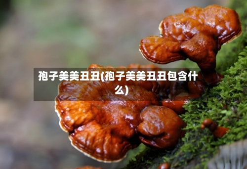 孢子美美丑丑(孢子美美丑丑包含什么)-第1张图片