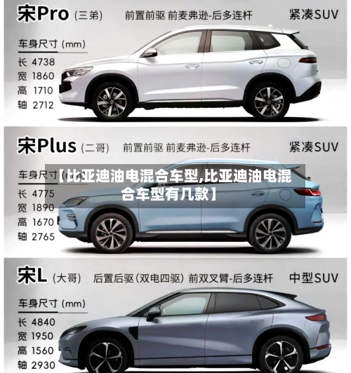 【比亚迪油电混合车型,比亚迪油电混合车型有几款】-第1张图片