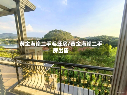 黄金海岸二手毛坯房/黄金海岸二手房出售-第3张图片