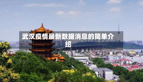 武汉疫情最新数据消息的简单介绍-第1张图片