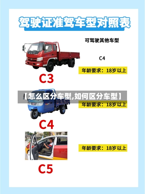 【怎么区分车型,如何区分车型】-第1张图片