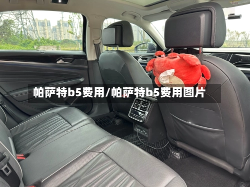帕萨特b5费用/帕萨特b5费用图片-第1张图片
