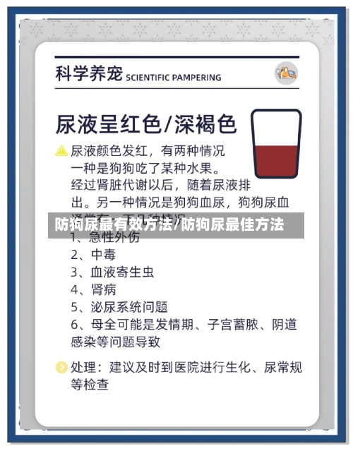 防狗尿最有效方法/防狗尿最佳方法-第1张图片