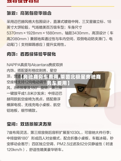 【奔驰商务车费用,莱茵北极星奔驰商务车费用】-第1张图片