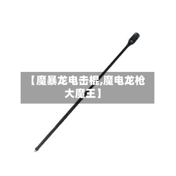 【魔暴龙电击棍,魔电龙枪大魔王】-第2张图片