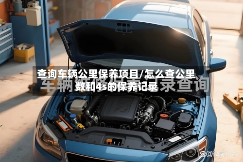 查询车辆公里保养项目/怎么查公里数和4s的保养记录-第1张图片