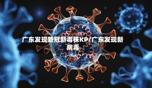 广东发现新冠新毒株KP/广东发现新病毒-第1张图片