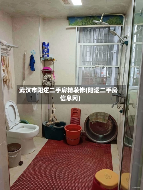 武汉市阳逻二手房精装修(阳逻二手房信息网)-第3张图片