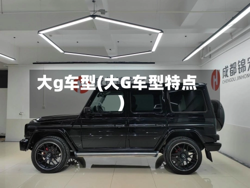 大g车型(大G车型特点)-第1张图片