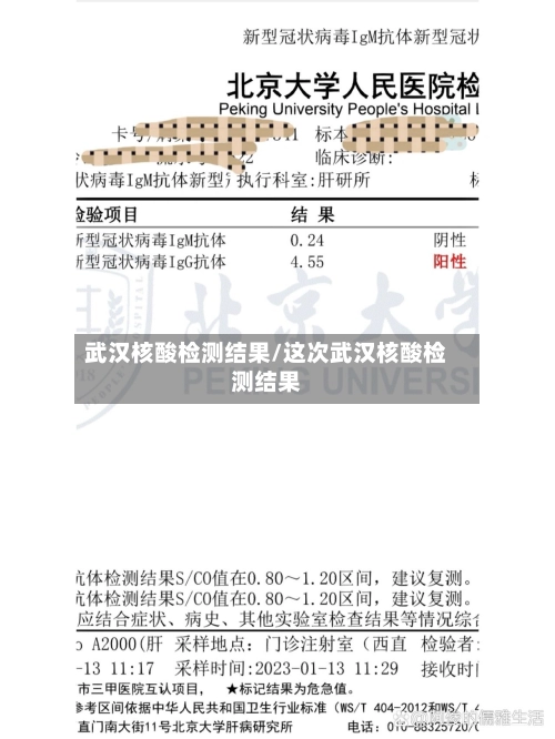 武汉核酸检测结果/这次武汉核酸检测结果-第1张图片