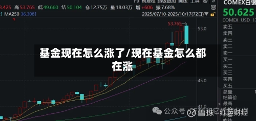 基金现在怎么涨了/现在基金怎么都在涨-第3张图片