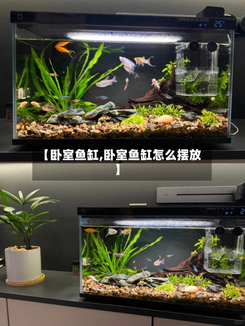 【卧室鱼缸,卧室鱼缸怎么摆放】-第1张图片