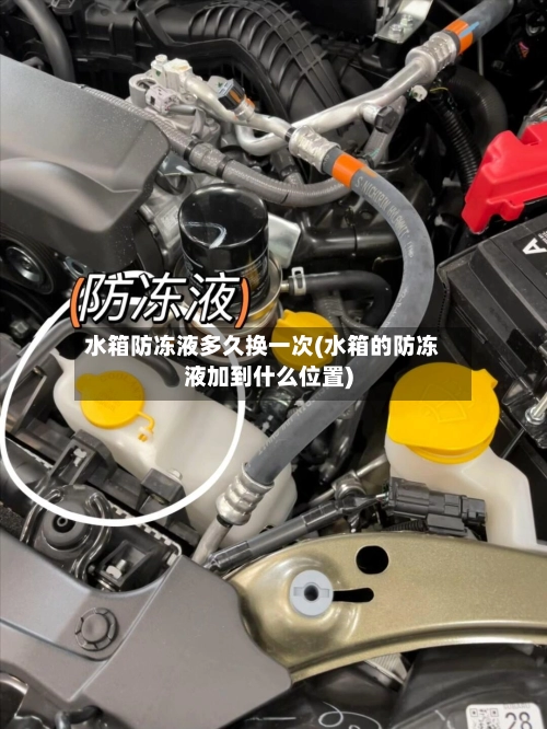 水箱防冻液多久换一次(水箱的防冻液加到什么位置)-第1张图片