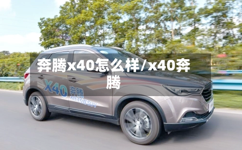 奔腾x40怎么样/x40奔腾-第1张图片