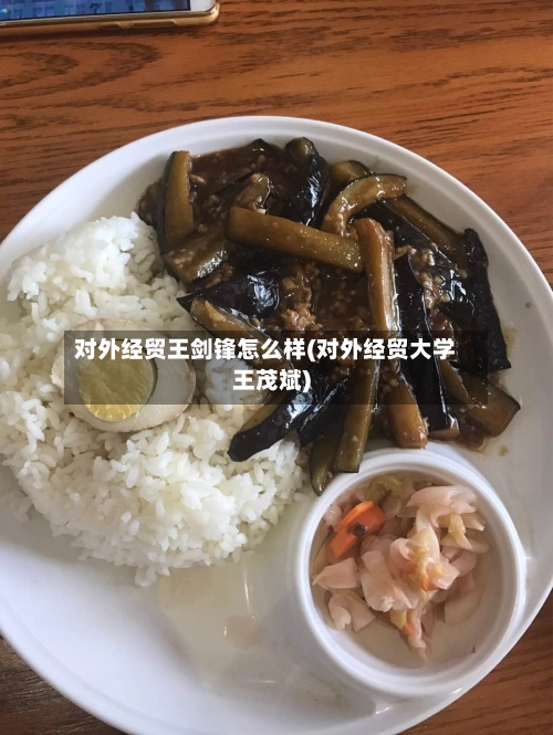 对外经贸王剑锋怎么样(对外经贸大学王茂斌)-第1张图片