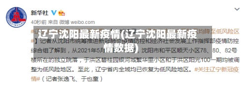 辽宁沈阳最新疫情(辽宁沈阳最新疫情数据)