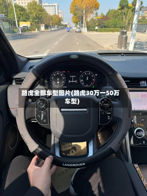 路虎全部车型图片(路虎30万一50万车型)-第1张图片