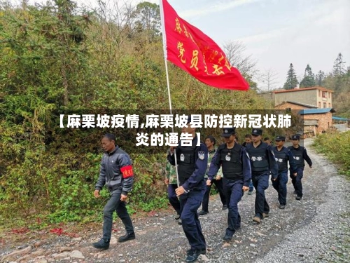 【麻栗坡疫情,麻栗坡县防控新冠状肺炎的通告】-第1张图片