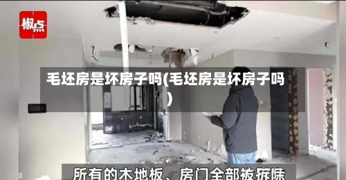毛坯房是坏房子吗(毛坯房是坏房子吗)-第1张图片