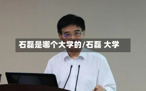 石磊是哪个大学的/石磊 大学-第1张图片