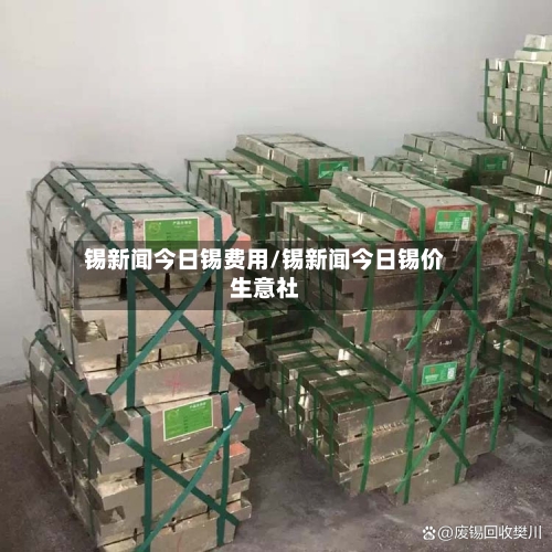 锡新闻今日锡费用/锡新闻今日锡价生意社-第1张图片