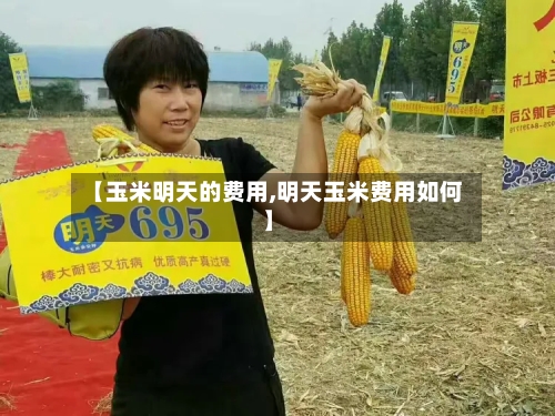 【玉米明天的费用,明天玉米费用如何】