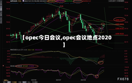 【opec今日会议,opec会议地点2020】-第1张图片