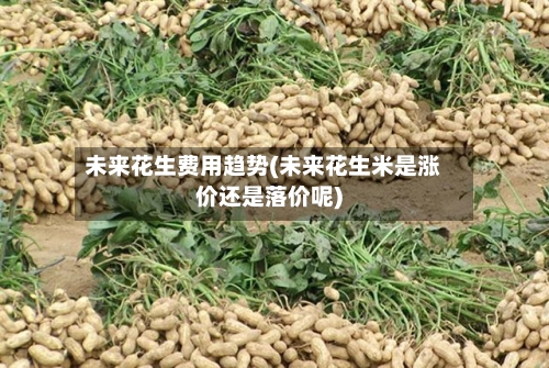未来花生费用趋势(未来花生米是涨价还是落价呢)