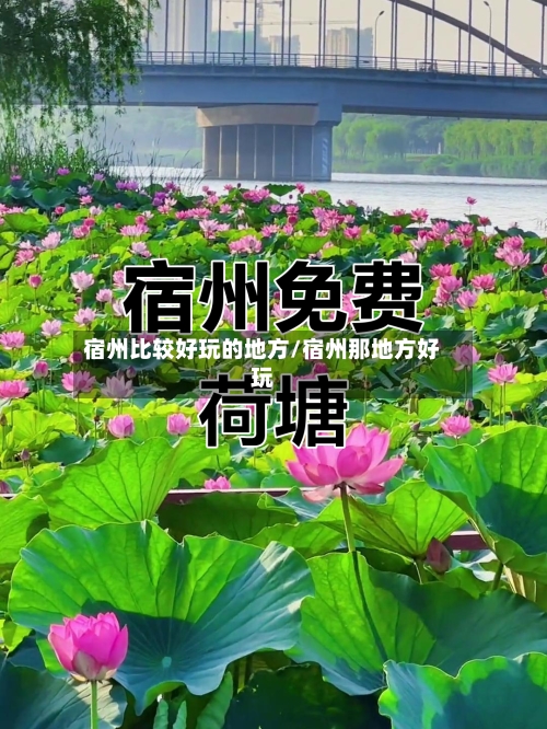 宿州比较好玩的地方/宿州那地方好玩-第2张图片