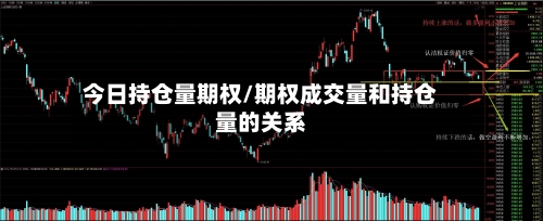 今日持仓量期权/期权成交量和持仓量的关系-第2张图片
