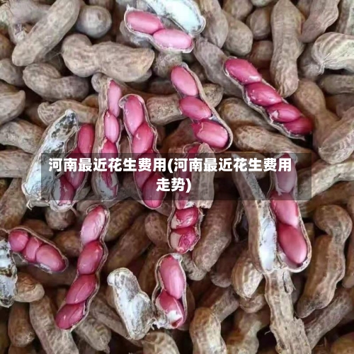 河南最近花生费用(河南最近花生费用走势)-第3张图片