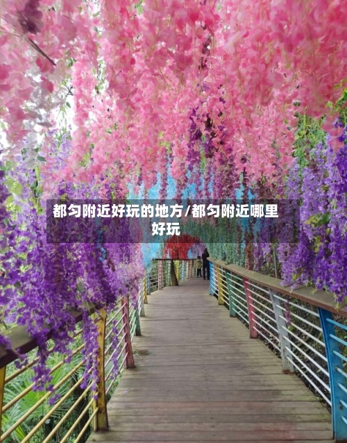 都匀附近好玩的地方/都匀附近哪里好玩