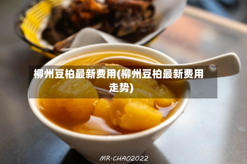 柳州豆柏最新费用(柳州豆柏最新费用走势)-第1张图片