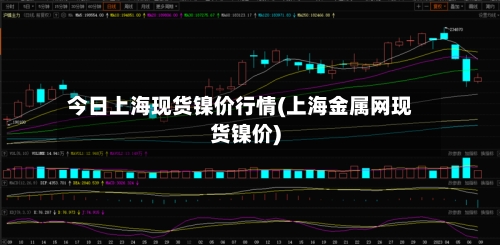 今日上海现货镍价行情(上海金属网现货镍价)-第1张图片